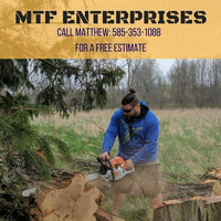 MTF Enterprises logo, MTF Enterprises contact details