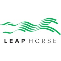 LEAP HORSE LIMITED logo, LEAP HORSE LIMITED contact details