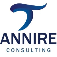 Annire Consulting logo, Annire Consulting contact details