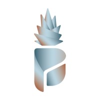 Pineapple Medicina Integrada logo, Pineapple Medicina Integrada contact details