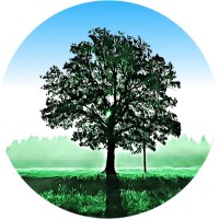 Guard Tree Publishing logo, Guard Tree Publishing contact details