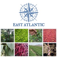 East Atlantic International logo, East Atlantic International contact details