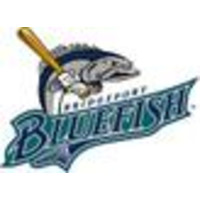 Bridgeport Bluefish logo, Bridgeport Bluefish contact details