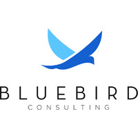 BlueBird Consulting LLC logo, BlueBird Consulting LLC contact details