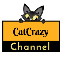 CatCrazy Channel logo, CatCrazy Channel contact details