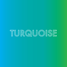 Turquoise Marketing logo, Turquoise Marketing contact details