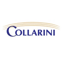 Collarini Energy Experts logo, Collarini Energy Experts contact details