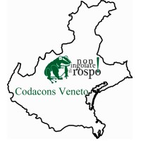 Codacons Veneto logo, Codacons Veneto contact details