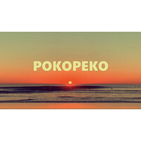 PokoPeko Languages Ltd logo, PokoPeko Languages Ltd contact details