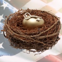 National Nest Egg Solutions logo, National Nest Egg Solutions contact details