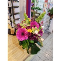 NORTH STAR FLORIST, INC. logo, NORTH STAR FLORIST, INC. contact details