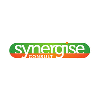 Synergise Consult logo, Synergise Consult contact details