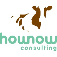 HowNow Consulting logo, HowNow Consulting contact details