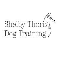 Shelby Thorn Dog Training logo, Shelby Thorn Dog Training contact details