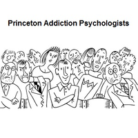 Princeton Addiction Psychologists logo, Princeton Addiction Psychologists contact details