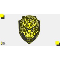 TIGER GUARD SECURITY SERVICES LLC logo, TIGER GUARD SECURITY SERVICES LLC contact details