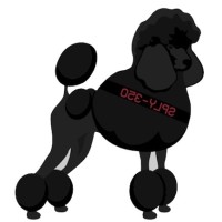 Black Dog Industries logo, Black Dog Industries contact details