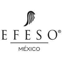 EFESO Mexico logo, EFESO Mexico contact details