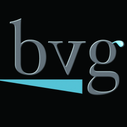 BluVenture Group LLC logo, BluVenture Group LLC contact details