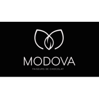 Modova logo, Modova contact details