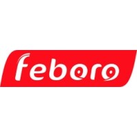 FEBORO Technology Co.,Ltd logo, FEBORO Technology Co.,Ltd contact details