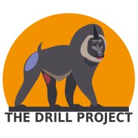 The Drill Project logo, The Drill Project contact details