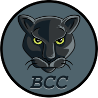 Black Cat Consulting, LLC logo, Black Cat Consulting, LLC contact details