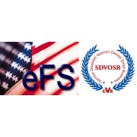 eFederal Systems logo, eFederal Systems contact details