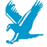 Falcon Power Consultants logo, Falcon Power Consultants contact details