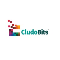 CludoBits IT Solutions Pvt Ltd logo, CludoBits IT Solutions Pvt Ltd contact details