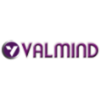 VALMIND IT NEEDS PRIVATE LIMITED logo, VALMIND IT NEEDS PRIVATE LIMITED contact details