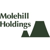 Molehill Holdings logo, Molehill Holdings contact details