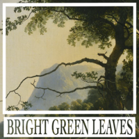 Bright Green Leaves logo, Bright Green Leaves contact details