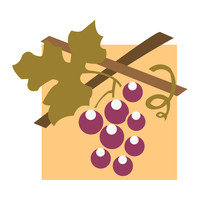 Vitis Distribution logo, Vitis Distribution contact details