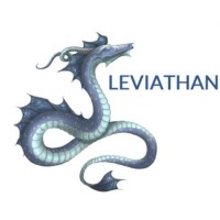 Leviathan Consulting Limited logo, Leviathan Consulting Limited contact details