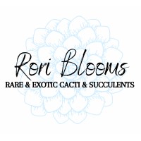 Rori Blooms logo, Rori Blooms contact details