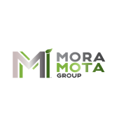 Mora Mota Group Inc. logo, Mora Mota Group Inc. contact details