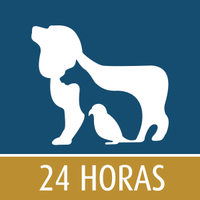 Hospital Veterinário 24h de Macaé e Rio das Ostras logo, Hospital Veterinário 24h de Macaé e Rio das Ostras contact details