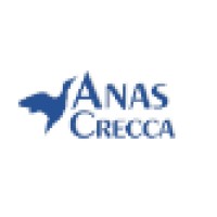 Anas Crecca Travel logo, Anas Crecca Travel contact details