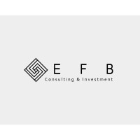 EFB Consulting & İnvestment logo, EFB Consulting & İnvestment contact details