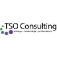 TSO Consulting logo, TSO Consulting contact details