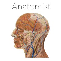 Anatomist logo, Anatomist contact details