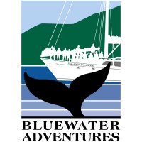 Bluewater Advenutres Ltd logo, Bluewater Advenutres Ltd contact details