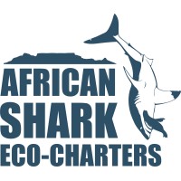 African Shark Eco-Charters logo, African Shark Eco-Charters contact details