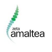 Zeta Amaltea logo, Zeta Amaltea contact details