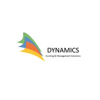 Dynamics Chile logo, Dynamics Chile contact details