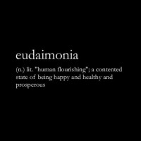 eudaimonia logo, eudaimonia contact details