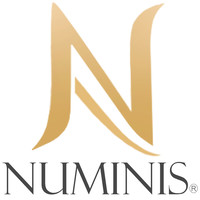 Numinis Assessoria de Casamento logo, Numinis Assessoria de Casamento contact details