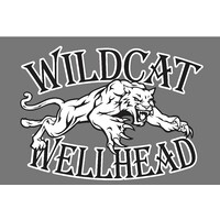 Wildcat Wellhead Services, LLC logo, Wildcat Wellhead Services, LLC contact details