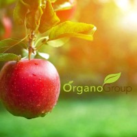 OrganoGroup logo, OrganoGroup contact details